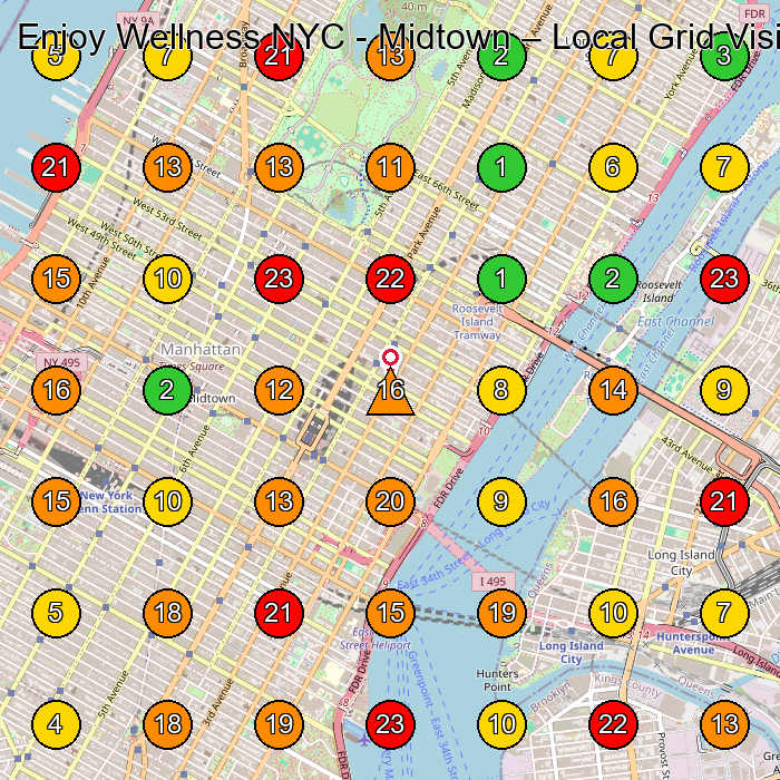 Enjoy Wellness NYC - Midtown Acupuncture Clinic GeoGrid ranking map for New York NY